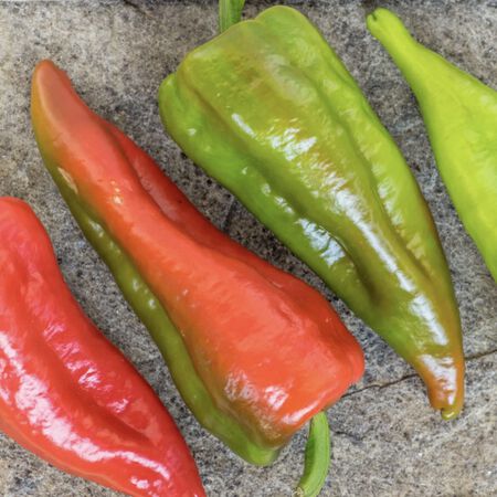 Beaver Dam, Pepper Seeds - Packet image number null